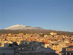 Oliveraies à Biancavilla au pied de l'Etna